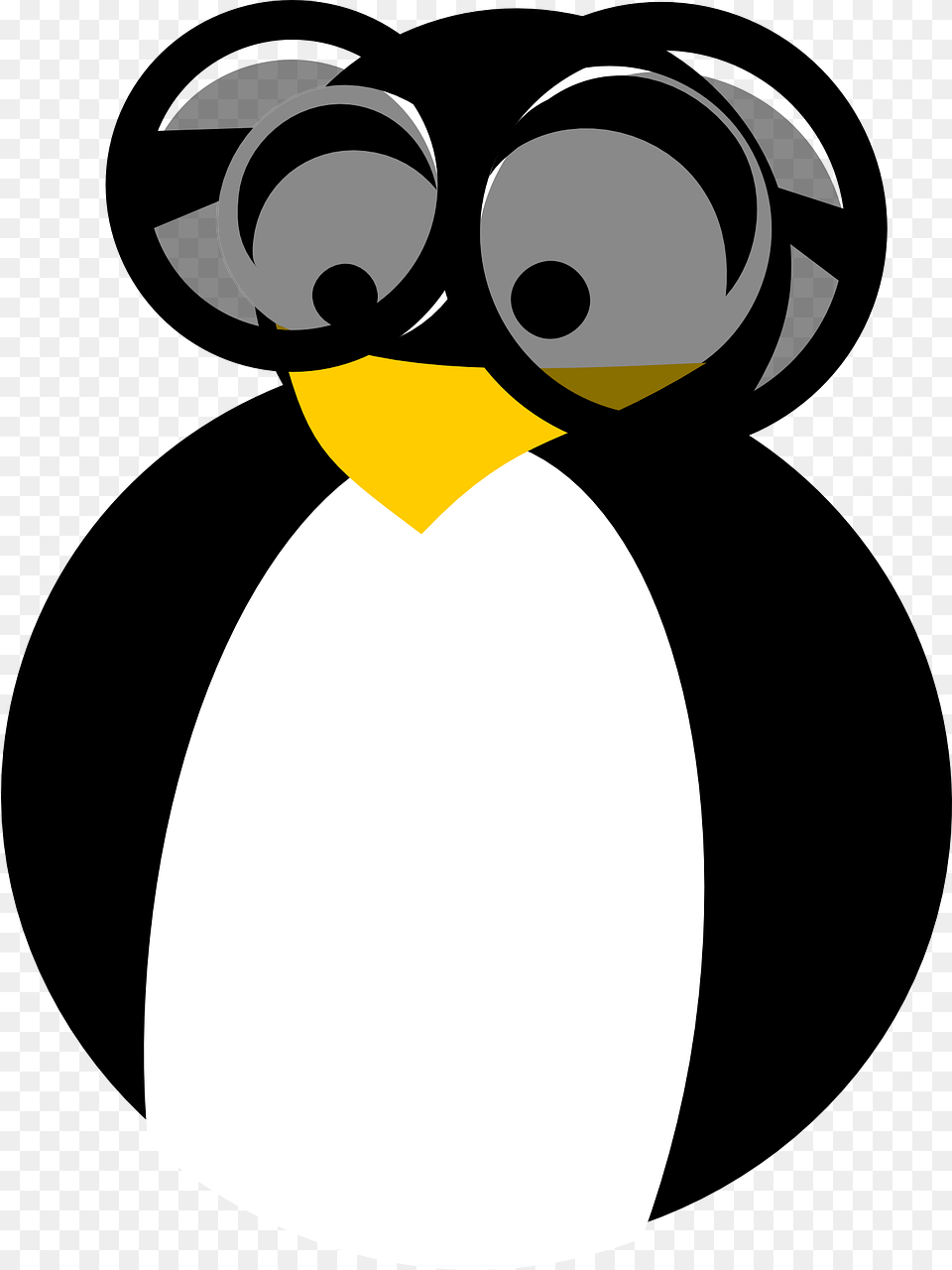 First Year Placement Enhancement, Animal, Bird, Penguin, King Penguin Free Png Download