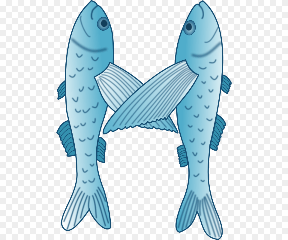 Fische, Animal, Sea Life, Seafood, Mullet Fish Free Transparent Png