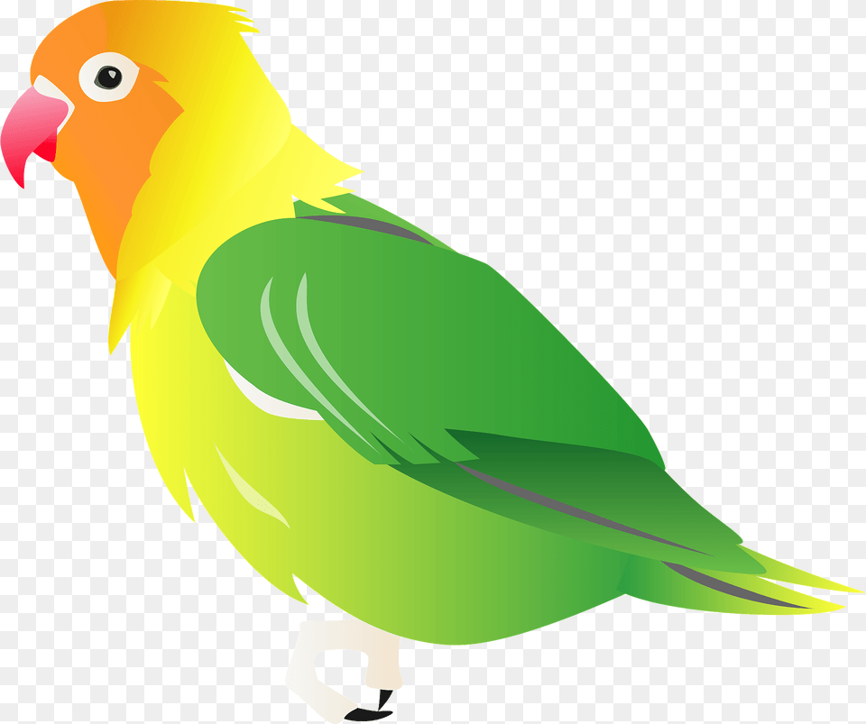 Fischers Lovebird Clipart, Animal, Bird, Parakeet, Parrot Png Image