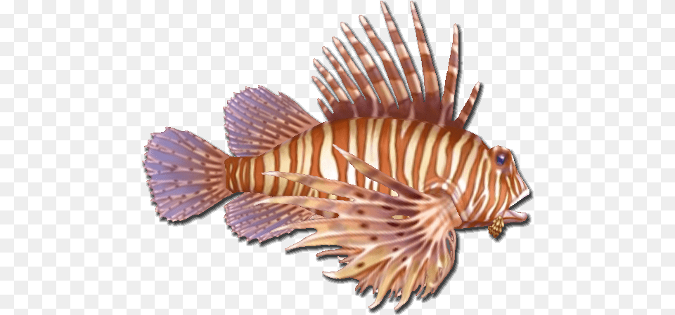 Fish 10 Lionfish Transparent, Aquatic, Water, Animal, Sea Life Png Image