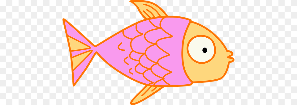 Fish Animal, Sea Life, Goldfish Png