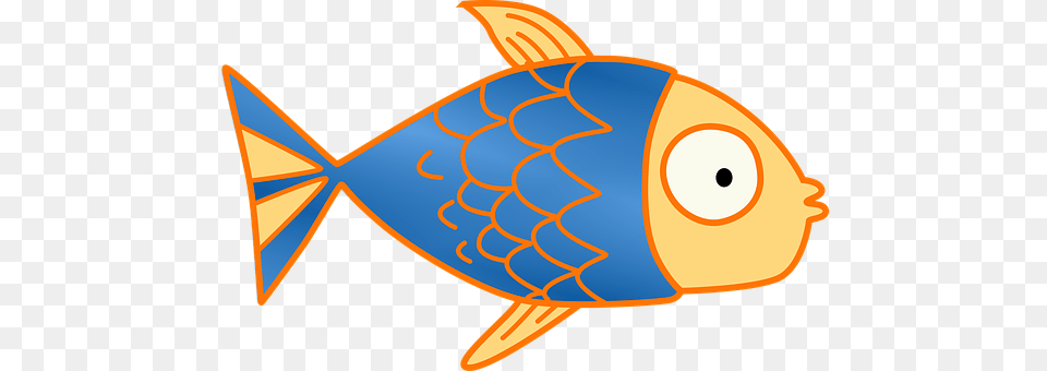 Fish Animal, Sea Life, Goldfish Free Png Download