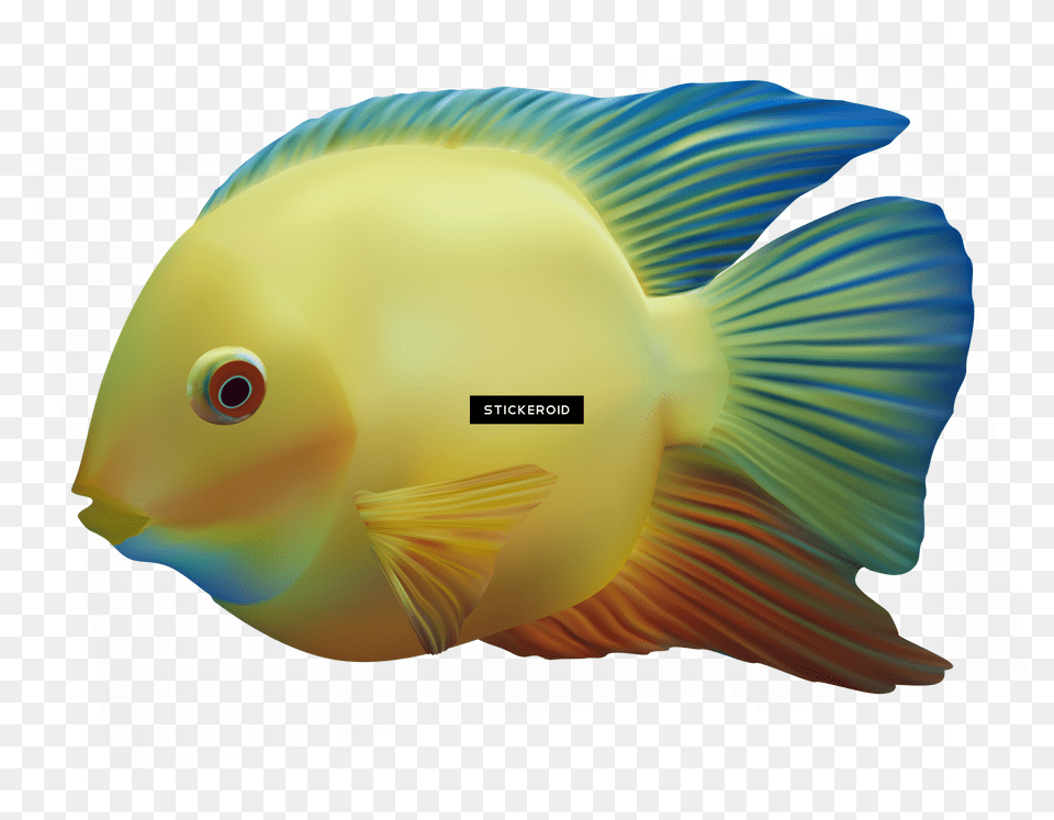 Fish, Animal, Sea Life, Computer Hardware, Electronics Png Image