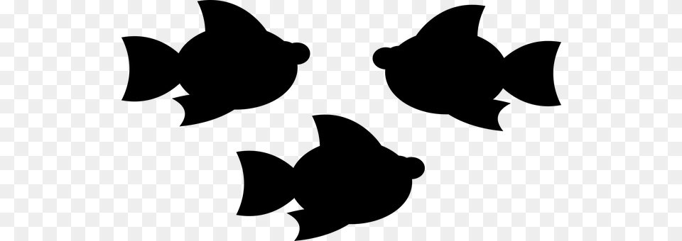 Fish Gray Free Png