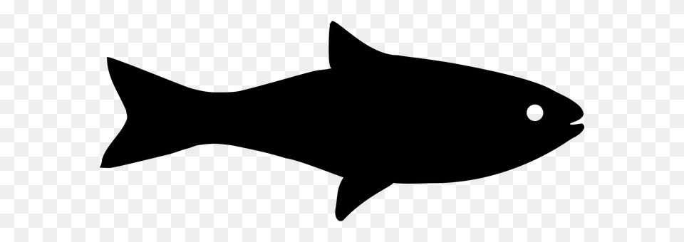 Fish Gray Free Transparent Png