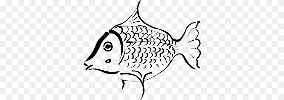 Fish Gray Free Transparent Png