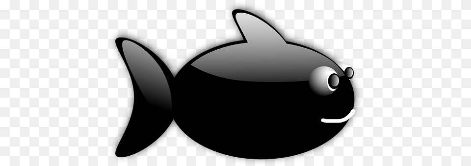 Fish Animal, Sea Life, Shark Free Png Download