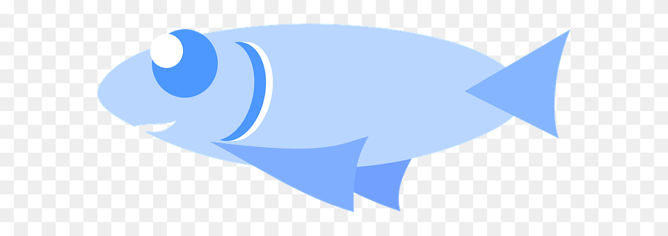 Fish Animal, Sea Life Png