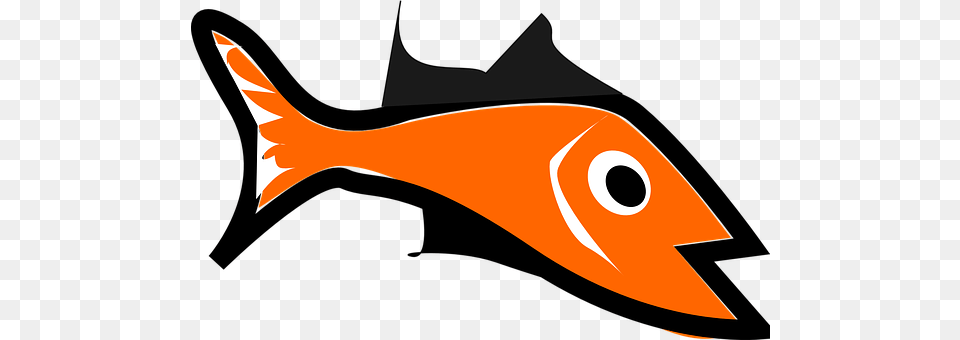 Fish Animal, Sea Life, Shark Free Png