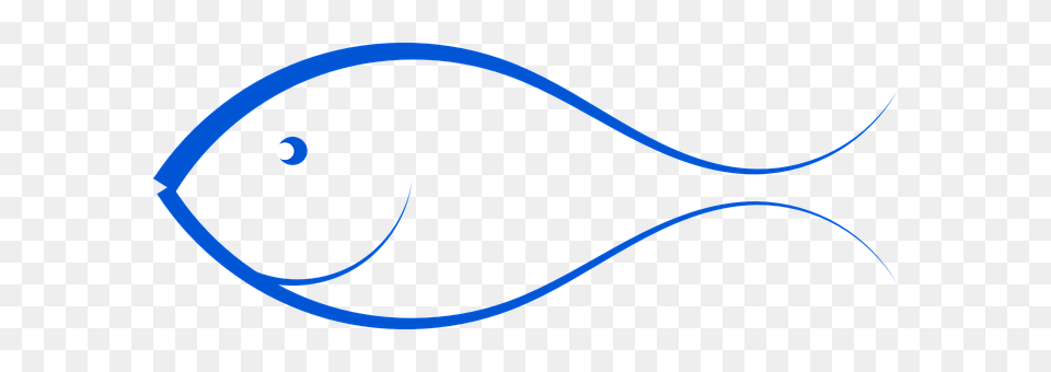 Fish Animal, Sea Life Free Transparent Png