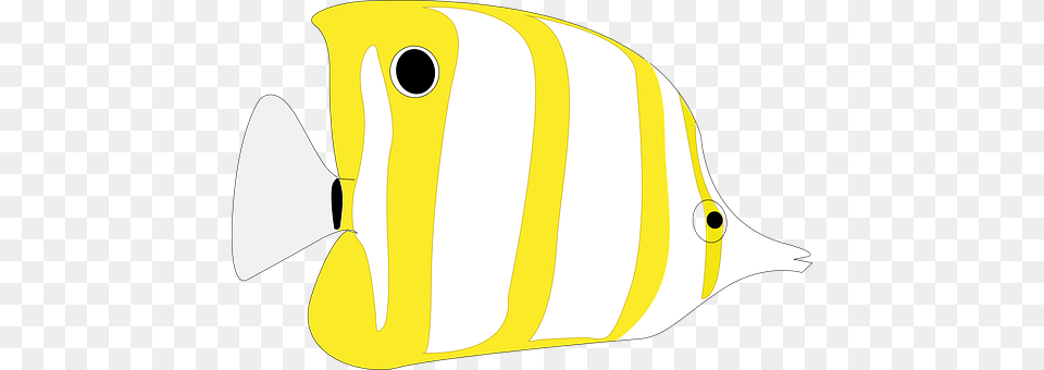 Fish Angelfish, Animal, Sea Life Free Png