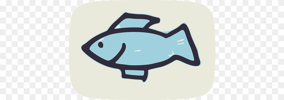 Fish Animal, Sea Life, Tuna, Accessories Png