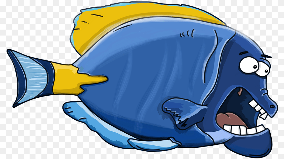 Fish, Animal, Sea Life, Surgeonfish, Clothing Png