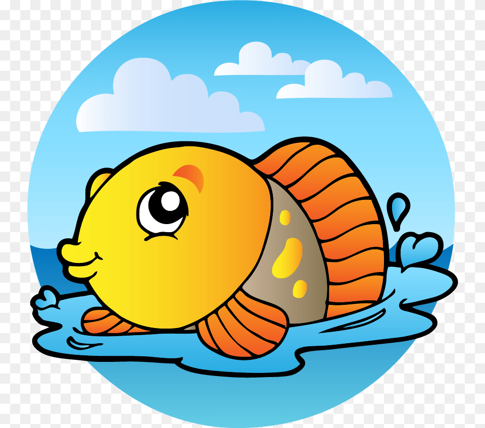 Fish, Animal, Sea Life, Water Png