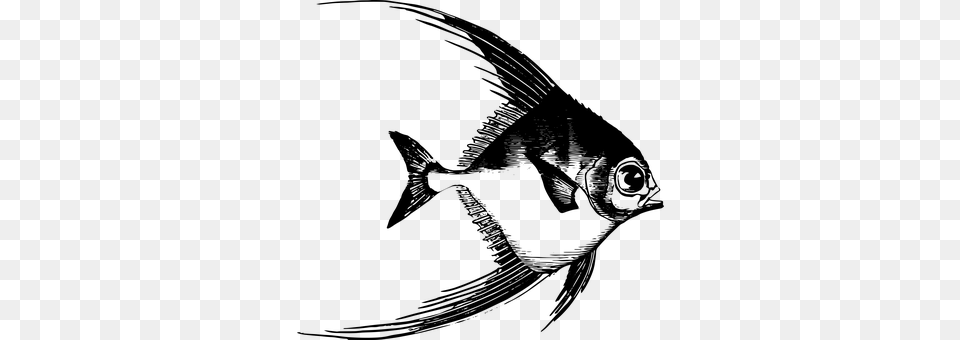 Fish Gray Free Transparent Png