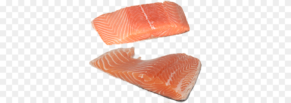 Fish Food, Seafood, Salmon, Animal Png