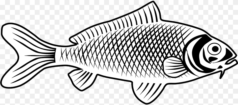 Fish 29 Clip Art At Clker Fish Line Art, Animal, Sea Life, Carp Png Image