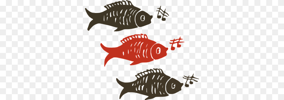 Fish Animal, Sea Life, Mortar Shell, Weapon Png Image