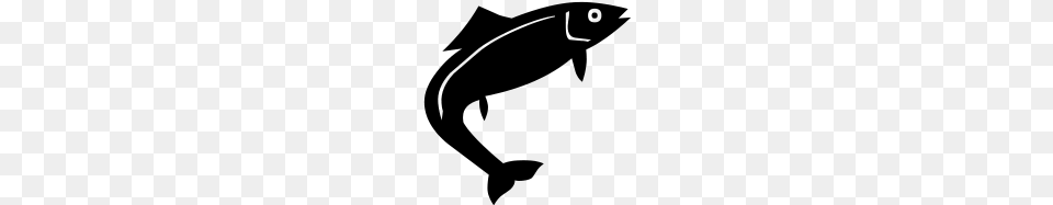Fish, Gray Free Png Download