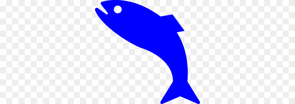 Fish Animal, Sea Life, Person Png Image