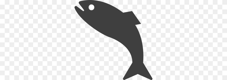 Fish Animal, Sea Life, Silhouette Png Image