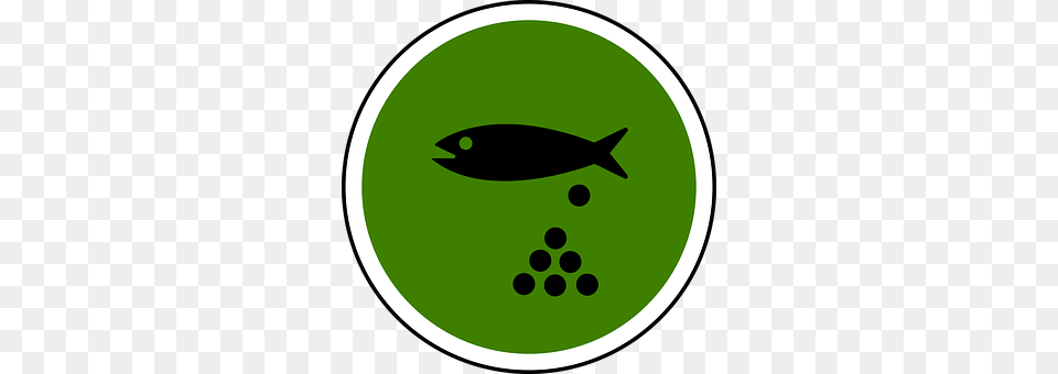 Fish Green, Disk, Animal, Sea Life Free Transparent Png