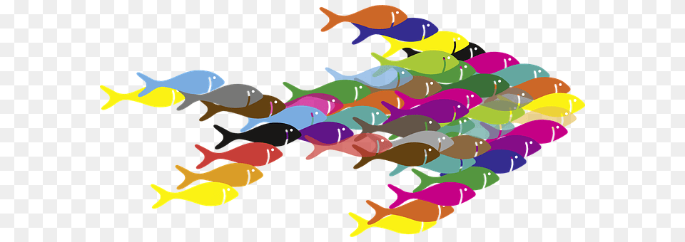 Fish Art, Graphics Png Image