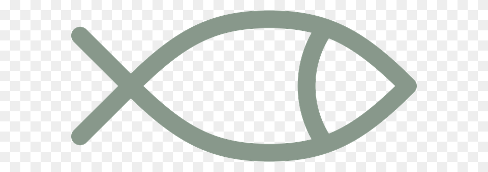 Fish Free Transparent Png