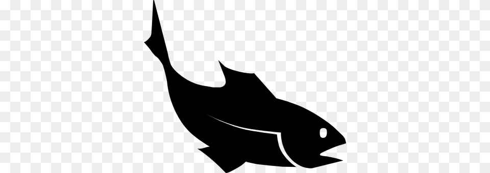 Fish Gray Free Png