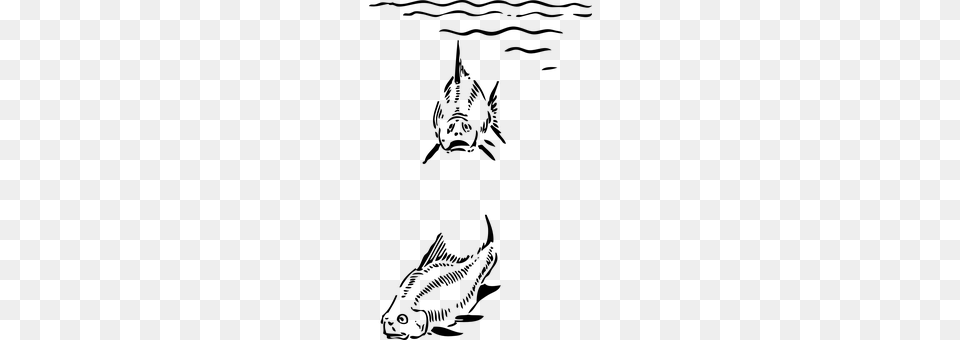 Fish Gray Png Image