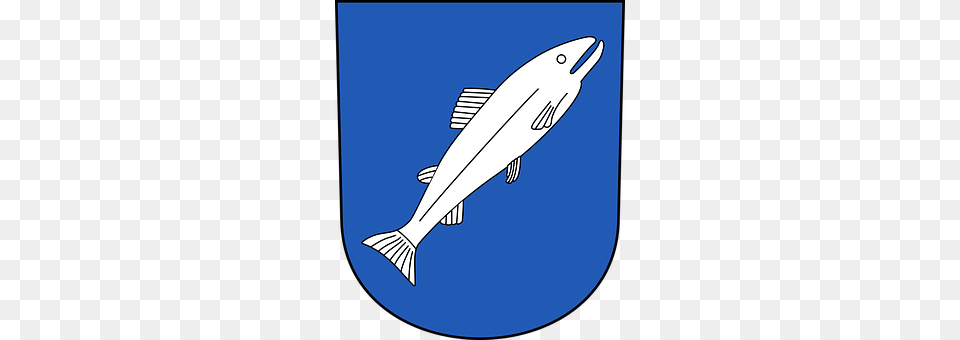 Fish Animal, Sea Life, Shark Png