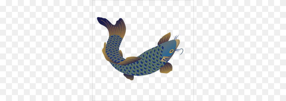 Fish Animal, Carp, Sea Life, Koi Free Png Download