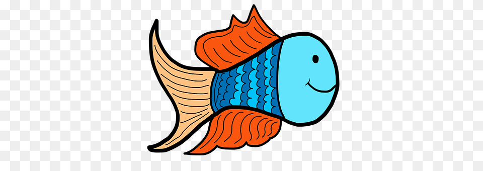 Fish Animal, Sea Life, Face, Head Png Image