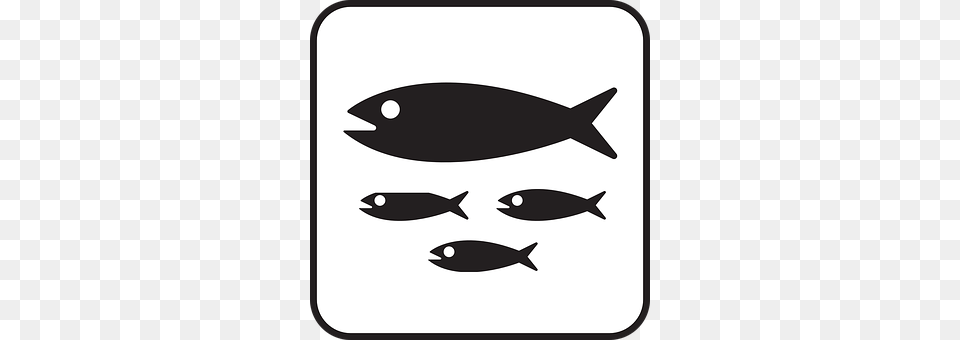 Fish Stencil, Animal, Sea Life, Shark Free Transparent Png