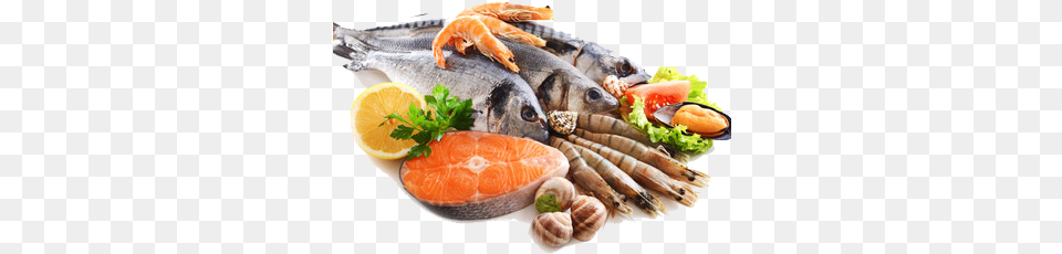 Fish Amp Seafood Seafood, Lunch, Meal, Food, Fruit Png