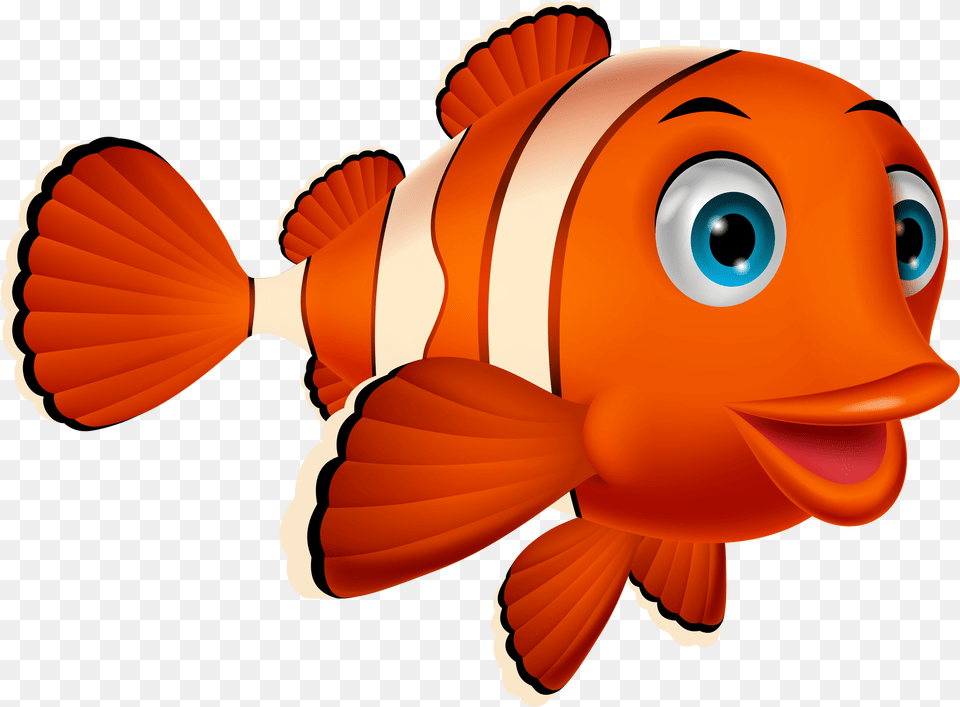 Fish And Album Clown Fish Cartoon, Animal, Sea Life, Baby, Person Free Png