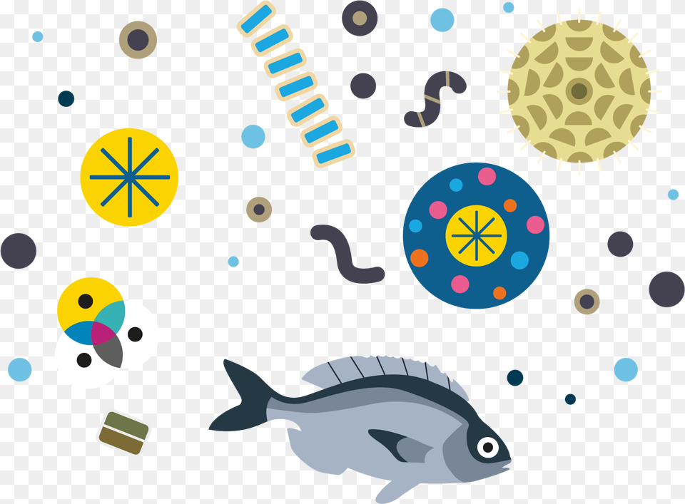 Fish And Plankton Illustration Illustration, Animal, Sea Life, Shark Png Image