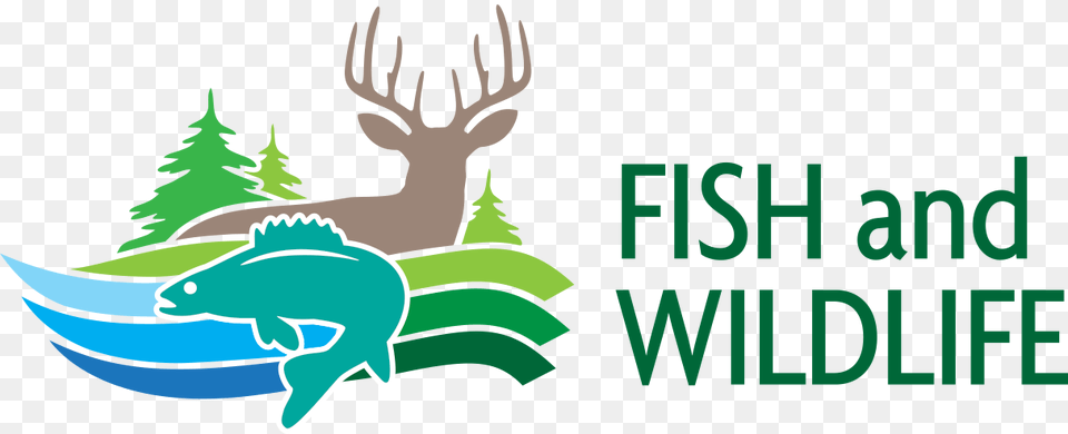Fish And Wildlife Deer Tag Ontario 2019, Animal, Mammal, Elk, Logo Png Image