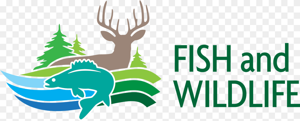 Fish And Wildlife Login Fish And Wildlife Act, Animal, Deer, Mammal, Elk Png