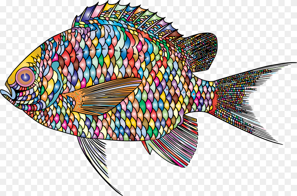Fish Animal Ocean Underwater Abstract Colorful Illustration, Sea Life, Person Free Png