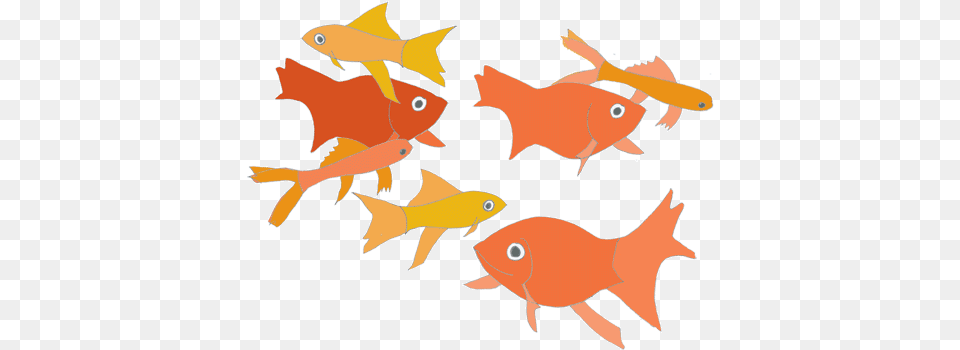 Fish Animated Pictures Cartoon, Animal, Sea Life, Goldfish Png Image