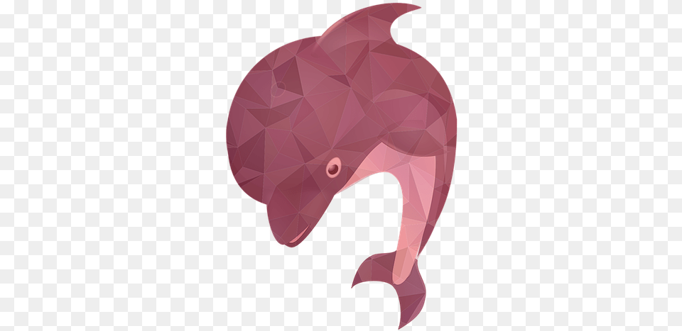 Fish Bait Sea Food Shark Ocean River Water Illustration, Animal, Dolphin, Mammal, Sea Life Free Transparent Png