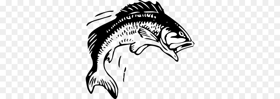 Fish Bass Lure Bait Angler Fin Fisherman T Jumping Fish Clipart, Animal, Iguana, Lizard, Reptile Free Transparent Png