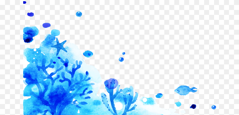 Fish Bg, Outdoors, Ice, Flower, Nature Png