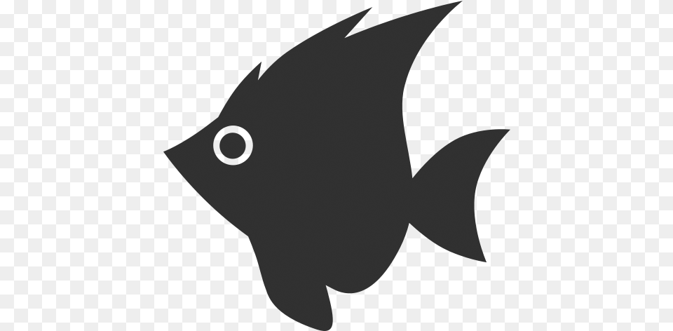 Fish Black Icon Transparent, Angelfish, Animal, Sea Life, Baby Png Image