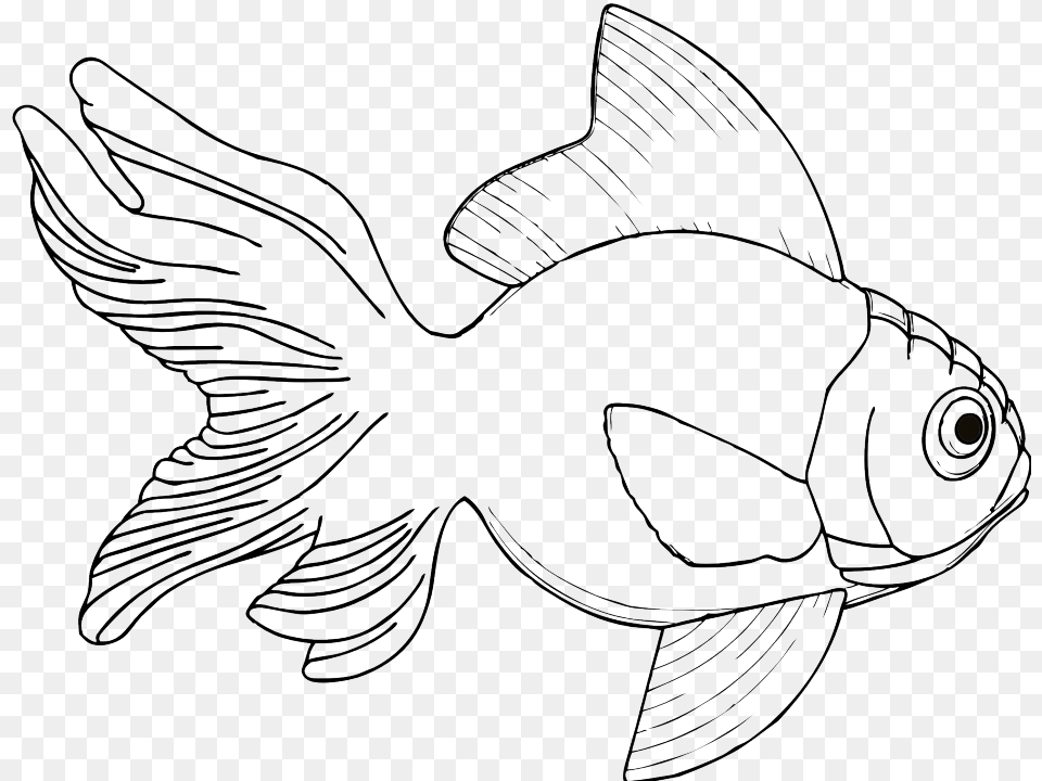 Fish Black White Line Art Coloring Book Colouring Svg Fish Black And White Line Drawing, Animal, Sea Life, Shark Free Png