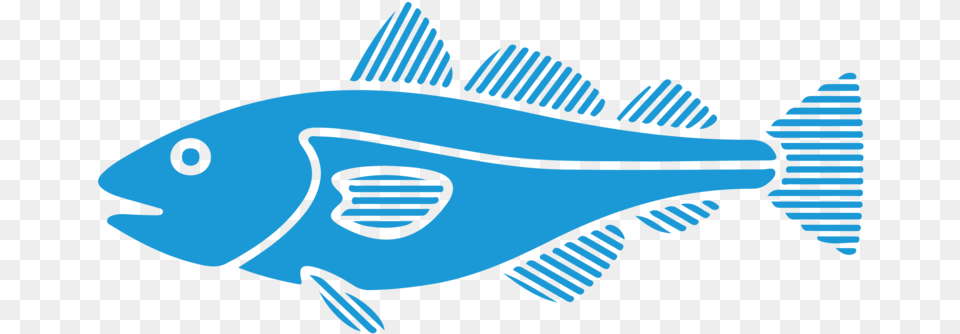 Fish Blue Silhouette, Animal, Sea Life, Tuna, Cod Free Transparent Png