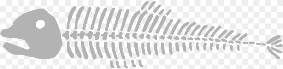 Fish Bomes Background Free Transparent Png