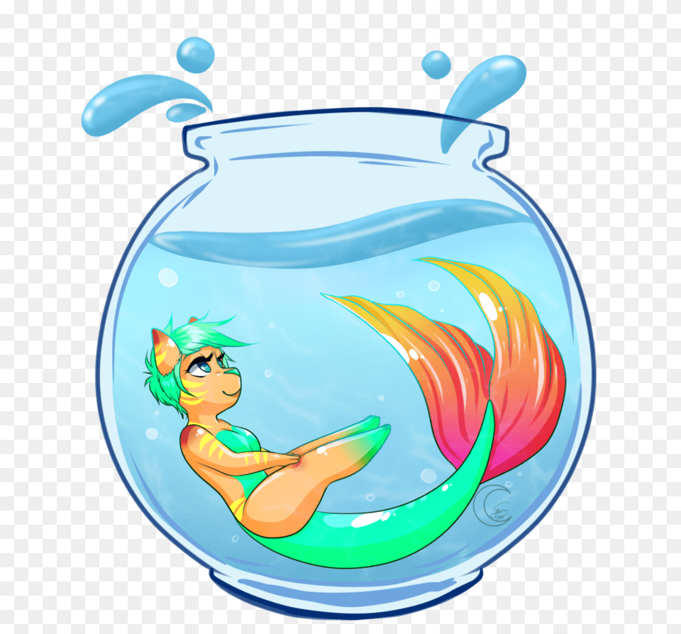 Fish Bowl, Animal, Sea Life, Water, Aquarium Png