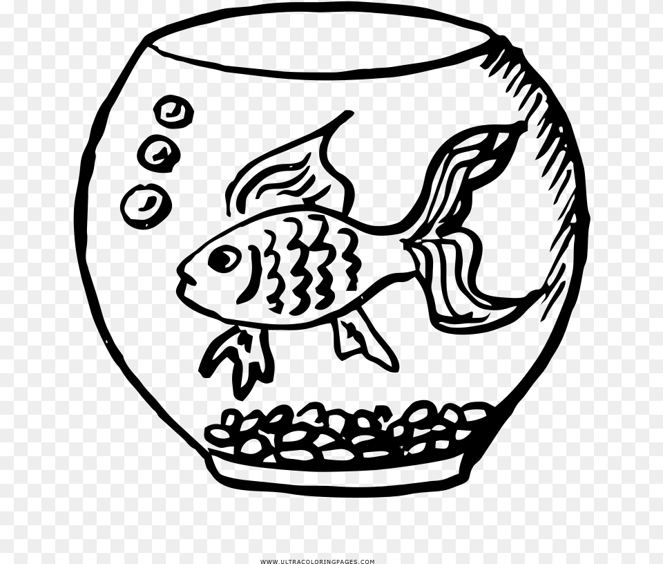 Fish Bowl Coloring, Gray Free Png